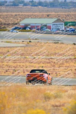media/Nov-16-2024-Extreme Speed (Sat) [[6587d07cc4]]/Gold Group/Session 1 (Turn 2)/